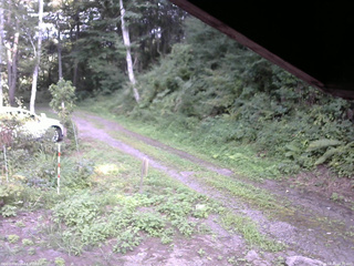 長野県菅平高原 ゆたか山荘 東側(坂下) 2025/08/20 16:30