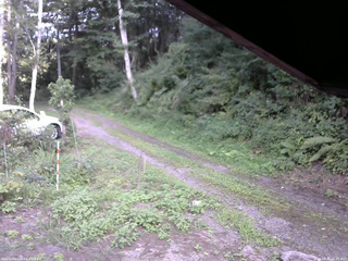 長野県菅平高原 ゆたか山荘 東側(坂下) 2025/08/20 16:45