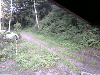 長野県菅平高原 ゆたか山荘 東側(坂下) 2025/08/20 17:00