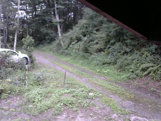 長野県菅平高原 ゆたか山荘 東側(坂下) 2025/08/20 18:00