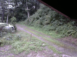 長野県菅平高原 ゆたか山荘 東側(坂下) 2025/08/20 18:15