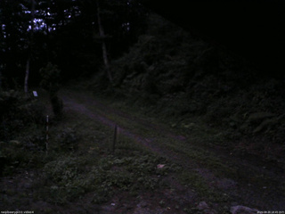 長野県菅平高原 ゆたか山荘 東側(坂下) 2025/08/20 18:45
