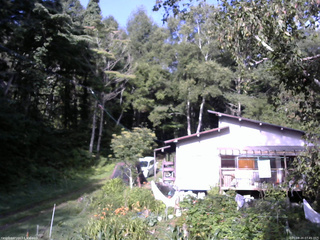 長野県菅平高原 ゆたか山荘 西側(坂上) 2025/08/20 07:45