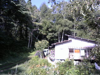 長野県菅平高原 ゆたか山荘 西側(坂上) 2025/08/20 08:00