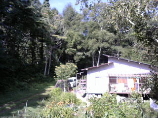 長野県菅平高原 ゆたか山荘 西側(坂上) 2025/08/20 08:45