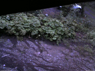 長野県菅平高原 ゆたか山荘 駐車場 2025/08/20 05:00