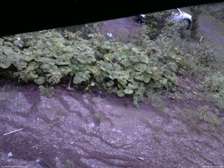 長野県菅平高原 ゆたか山荘 駐車場 2025/08/20 05:15