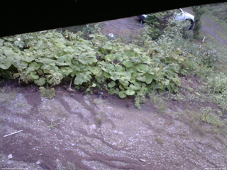 長野県菅平高原 ゆたか山荘 駐車場 2025/08/20 05:45