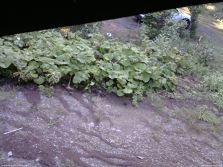 長野県菅平高原 ゆたか山荘 駐車場 2025/08/20 06:00