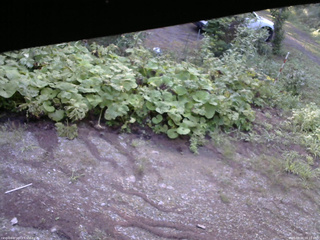 長野県菅平高原 ゆたか山荘 駐車場 2025/08/20 06:15