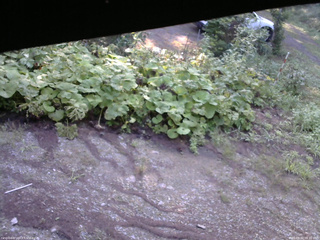 長野県菅平高原 ゆたか山荘 駐車場 2025/08/20 06:30