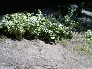 長野県菅平高原 ゆたか山荘 駐車場 2025/08/20 08:30