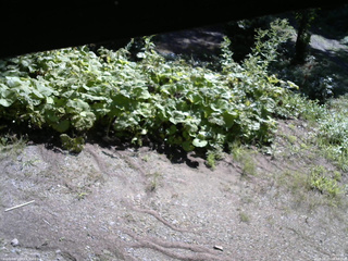 長野県菅平高原 ゆたか山荘 駐車場 2025/08/20 08:45