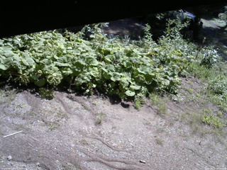 長野県菅平高原 ゆたか山荘 駐車場 2025/08/20 09:15