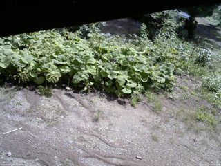 長野県菅平高原 ゆたか山荘 駐車場 2025/08/20 09:30