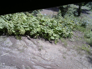 長野県菅平高原 ゆたか山荘 駐車場 2025/08/20 10:00