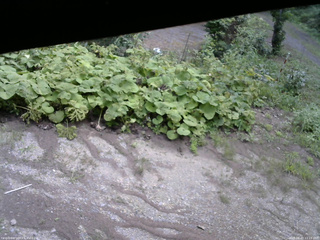 長野県菅平高原 ゆたか山荘 駐車場 2025/08/20 11:15
