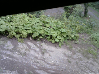 長野県菅平高原 ゆたか山荘 駐車場 2025/08/20 11:45