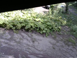 長野県菅平高原 ゆたか山荘 駐車場 2025/08/20 12:15