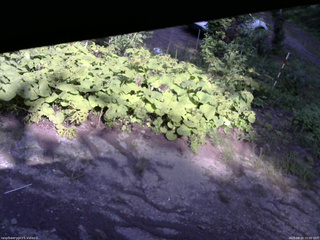 長野県菅平高原 ゆたか山荘 駐車場 2025/08/20 15:00