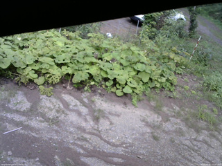 長野県菅平高原 ゆたか山荘 駐車場 2025/08/20 15:30