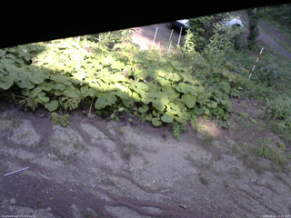 長野県菅平高原 ゆたか山荘 駐車場 2025/08/20 15:45