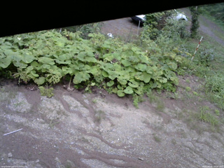 長野県菅平高原 ゆたか山荘 駐車場 2025/08/20 18:00