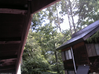 長野県菅平高原 ゆたか山荘 北側 2025/08/21 08:30