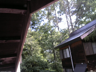 長野県菅平高原 ゆたか山荘 北側 2025/08/21 08:45