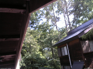 長野県菅平高原 ゆたか山荘 北側 2025/08/21 09:00