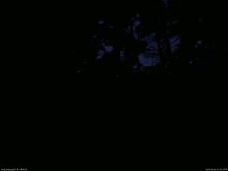 長野県菅平高原 ゆたか山荘 北側 2025/08/21 19:00