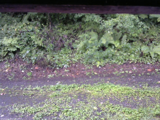 長野県菅平高原 ゆたか山荘 南側 2025/08/21 05:45