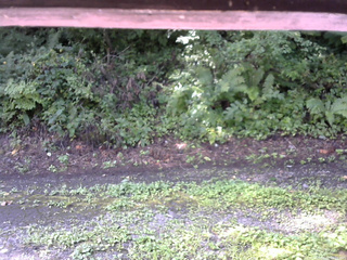 長野県菅平高原 ゆたか山荘 南側 2025/08/21 09:00