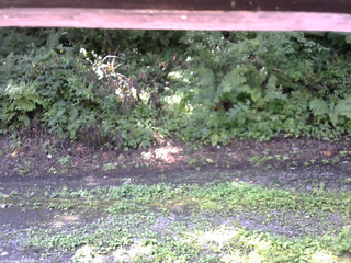 長野県菅平高原 ゆたか山荘 南側 2025/08/21 09:15
