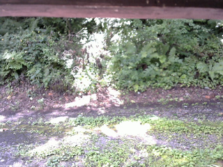 長野県菅平高原 ゆたか山荘 南側 2025/08/21 10:45