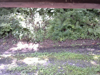 長野県菅平高原 ゆたか山荘 南側 2025/08/21 11:00