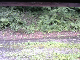 長野県菅平高原 ゆたか山荘 南側 2025/08/21 12:15