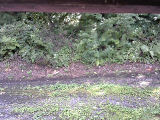 長野県菅平高原 ゆたか山荘 南側 2025/08/21 13:00