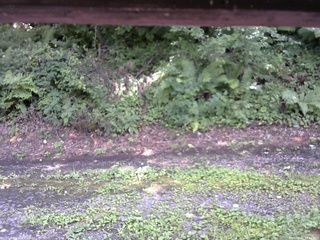 長野県菅平高原 ゆたか山荘 南側 2025/08/21 13:45