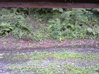 長野県菅平高原 ゆたか山荘 南側 2025/08/21 14:15