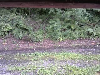 長野県菅平高原 ゆたか山荘 南側 2025/08/21 14:45