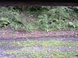 長野県菅平高原 ゆたか山荘 南側 2025/08/21 15:30