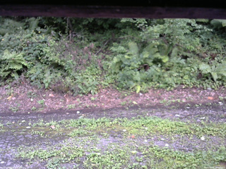 長野県菅平高原 ゆたか山荘 南側 2025/08/21 16:00