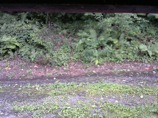 長野県菅平高原 ゆたか山荘 南側 2025/08/21 16:30