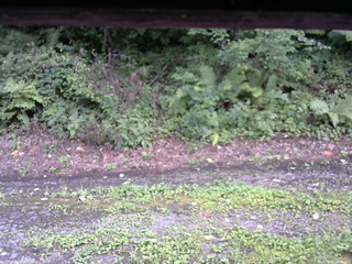 長野県菅平高原 ゆたか山荘 南側 2025/08/21 16:45