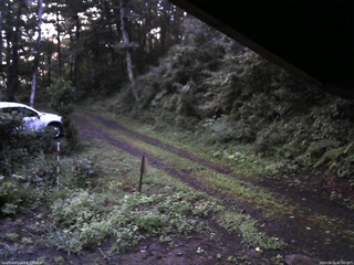 長野県菅平高原 ゆたか山荘 東側(坂下) 2025/08/21 05:00