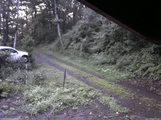長野県菅平高原 ゆたか山荘 東側(坂下) 2025/08/21 05:15