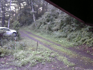 長野県菅平高原 ゆたか山荘 東側(坂下) 2025/08/21 05:30