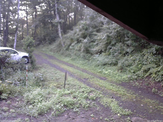 長野県菅平高原 ゆたか山荘 東側(坂下) 2025/08/21 05:45