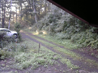 長野県菅平高原 ゆたか山荘 東側(坂下) 2025/08/21 06:00